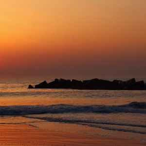 Meet your Posher, Fedonel